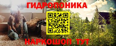 гашик Обнинск