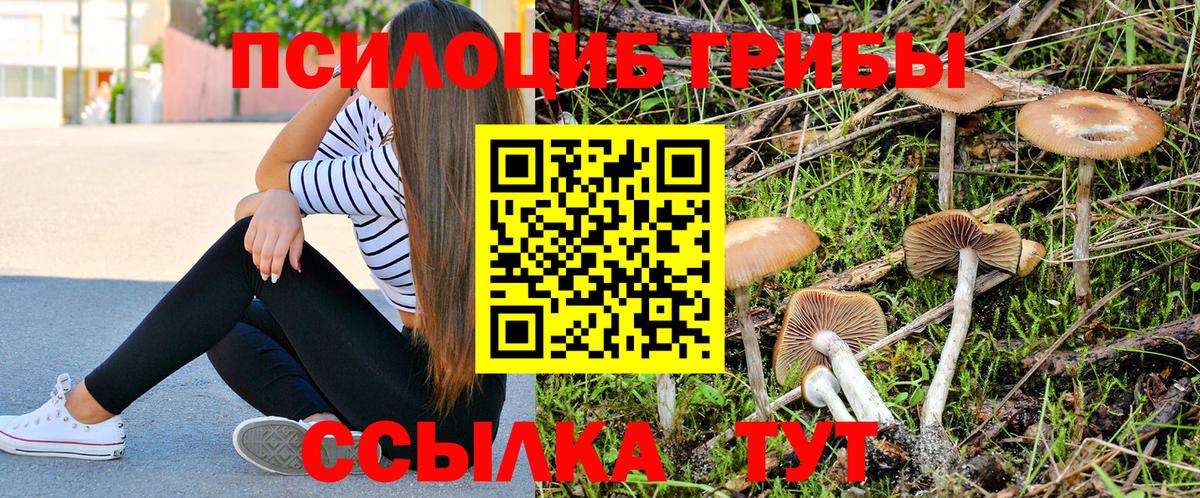 Псилоцибиновые грибы мицелий Рубцовск